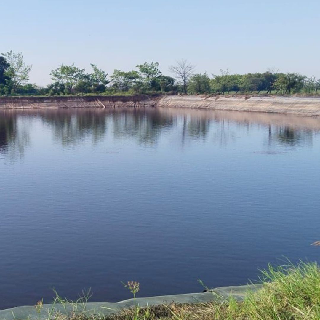 PROFEPA Descarta a Alcoholera Como Responsable de Mortandad de Peces en el Río Limón en Veracruz